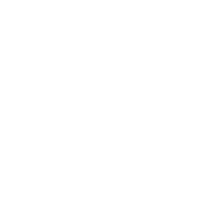 Logo Baronissi Sports Club